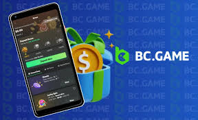 Everything You Need to Know About BC.Game Registration 6
