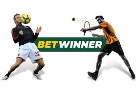 Exploring the Features of BetWinner Bookmaker