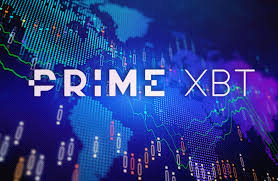 Discovering Financial Opportunities with PrimeXBT Info Hub