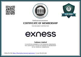 Why Your Exness Withdrawal Rejected Common Reasons and Solutions Why Your Exness Withdrawal Rejected Common Reasons and Solutions